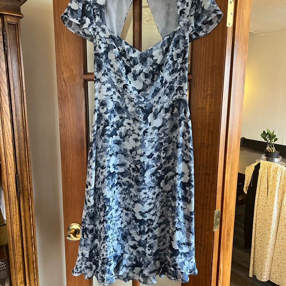 Reformation Blue Floral Backless Dress